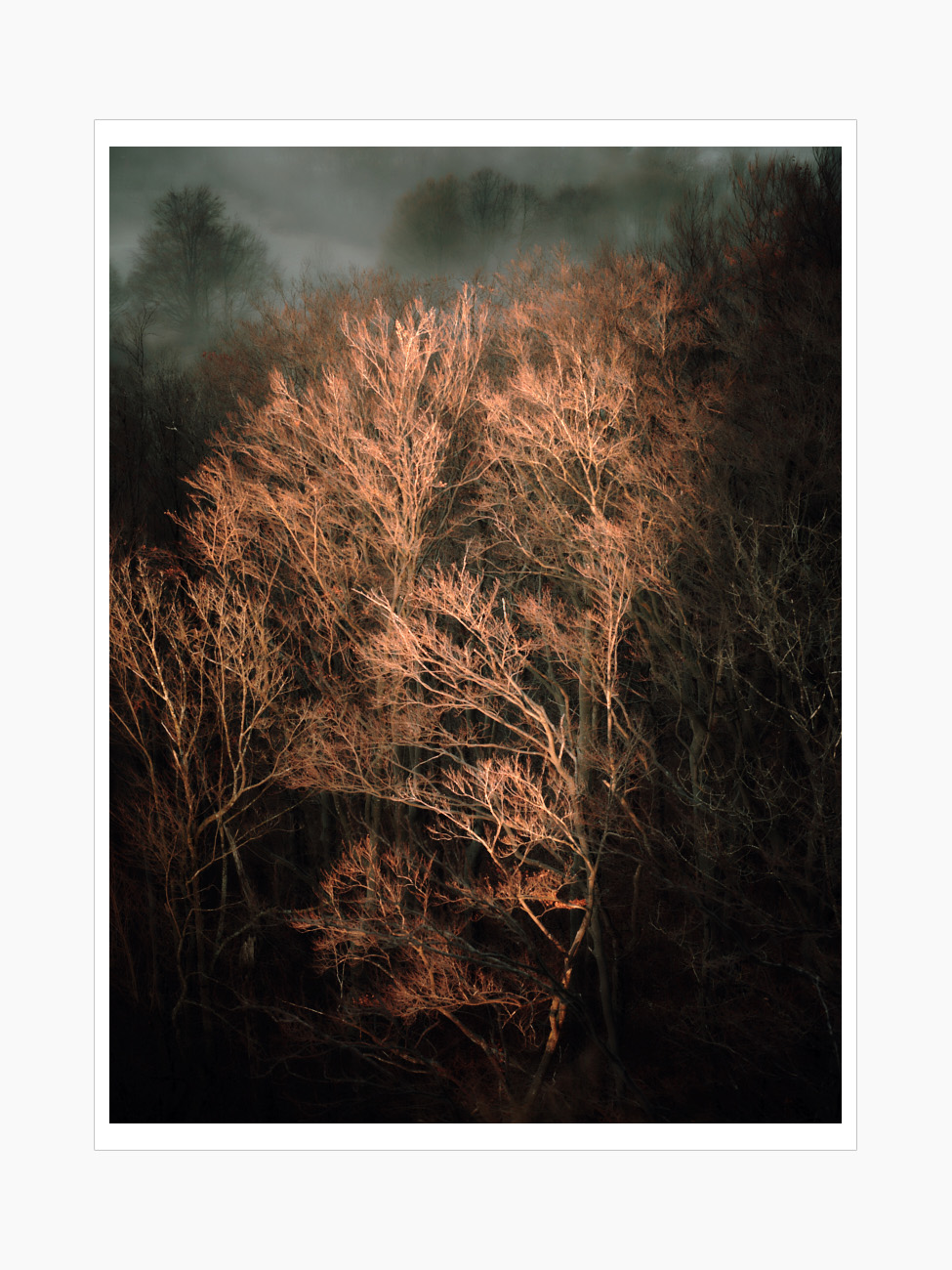 Max Schiefele Alle Bilder  DSF3970